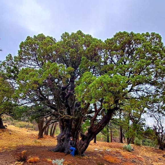 Meet your Posher, Christine - Picture 1 of 1